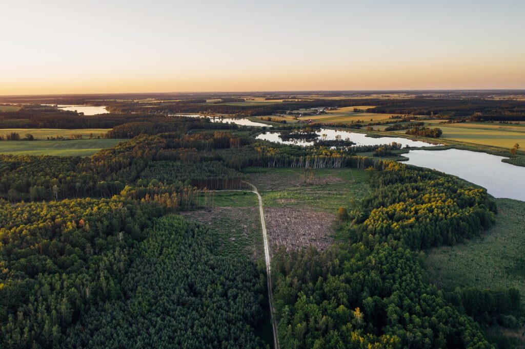 ein bild aufgenommen von einer drohne, welches die natur zeigt. wald und fluss im hintergrund